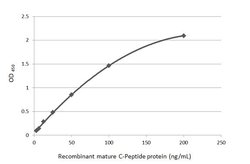 Invitrogen C-Peptide Polyclonal Antibody 100 &mu;L | Buy Online | Invitrogen&trade; | Fisher Scientific
