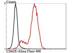 Invitrogen CD62E (E-selectin) Polyclonal Antibody 100 &mu;L; Unconjugated:Antibodies,