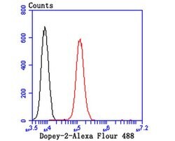 Invitrogen DOPEY2 Polyclonal Antibody 100 &mu;L; Unconjugated:Antibodies,