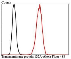 Invitrogen TMEM132A Polyclonal Antibody 100 &mu;L; Unconjugated:Antibodies,