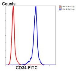 Invitrogen CD34 Polyclonal Antibody 100 &mu;L; Unconjugated:Antibodies,