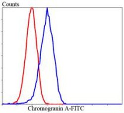 Invitrogen Chromogranin A Polyclonal Antibody 100 &mu;L; Unconjugated:Antibodies,