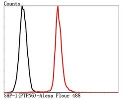 Invitrogen SHP-1 Polyclonal Antibody 100 &mu;L; Unconjugated:Antibodies,