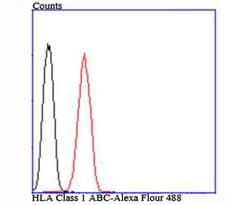 Invitrogen HLA-AB Polyclonal Antibody 100 &mu;L | Buy Online | Invitrogen&trade; | Fisher Scientific
