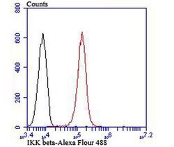 Invitrogen IKK beta Polyclonal Antibody 100 &mu;L; Unconjugated:Antibodies,