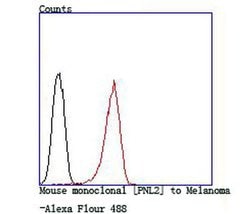 Invitrogen Tyrosinase Polyclonal Antibody 100 &mu;L; Unconjugated:Antibodies,