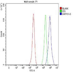 Invitrogen ERK1/ERK2 Polyclonal Antibody 100 &mu;g; Unconjugated:Antibodies,