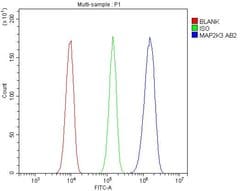 Invitrogen MEK3 Polyclonal Antibody 100 &mu;g; Unconjugated:Antibodies,