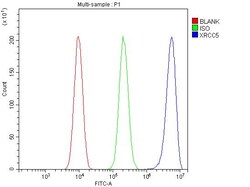 Invitrogen Ku80 Polyclonal Antibody 100 &mu;g; Unconjugated:Antikörper