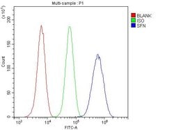 Invitrogen 14-3-3 sigma Polyclonal Antibody 100 &mu;g; Unconjugated:Antibodies,