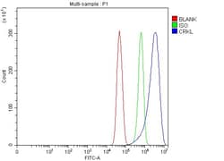 Invitrogen CrkL Polyclonal Antibody 100 &mu;g; Unconjugated:Antibodies,