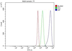 Invitrogen MIF Polyclonal Antibody 100 &mu;g; Unconjugated:Antibodies,