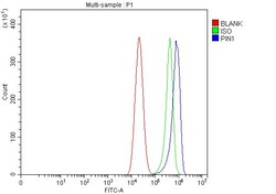 Invitrogen PIN1 Polyclonal Antibody 100 &mu;g; Unconjugated:Antibodies,