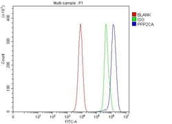 Invitrogen PP2A alpha Polyclonal Antibody 100 &mu;g; Unconjugated:Antibodies,