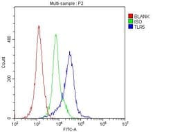 TLR5 Polyclonal Antibody:Antibodies, Polyclonal