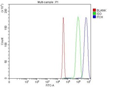 Invitrogen ITCH Polyclonal Antibody 100 &mu;g; Unconjugated:Antibodies,