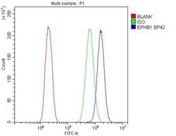 Invitrogen EphB1 Polyclonal Antibody 100 &mu;g; Unconjugated:Antibodies,