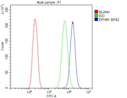 Invitrogen EphB1 Polyclonal Antibody 100 &mu;g; Unconjugated:Antibodies,