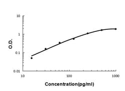 Invitrogen Transthyretin Polyclonal Antibody 100 &mu;g; Unconjugated:Antibodies,