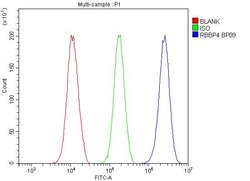 Invitrogen RbAp48 Polyclonal Antibody 100 &mu;g; Unconjugated:Antibodies,