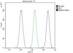 Invitrogen RbAp48 Polyclonal Antibody 100 &mu;g; Unconjugated:Antibodies,
