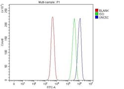 Invitrogen UNC5C Polyclonal Antibody 100 &mu;g; Unconjugated:Antibodies,