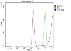 Invitrogen ALDH1A2 Polyclonal Antibody 100 &mu;g; Unconjugated:Antibodies,