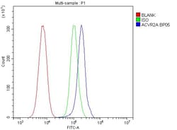Invitrogen ACVR2A Polyclonal Antibody 100 &mu;g; Unconjugated:Antibodies,