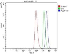Invitrogen ALDH1B1 Polyclonal Antibody 100 &mu;g; Unconjugated:Antibodies,