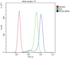 Invitrogen RPSA Polyclonal Antibody 100 &mu;g; Unconjugated:Antibodies,