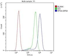 Invitrogen RPSA Polyclonal Antibody 100 &mu;g; Unconjugated:Antibodies,