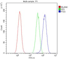 Invitrogen Fibrinogen gamma Polyclonal Antibody 100 &mu;g; Unconjugated:Antibodies,