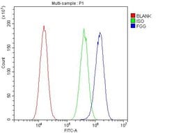 Invitrogen Fibrinogen gamma Polyclonal Antibody 100 &mu;g; Unconjugated:Antibodies,