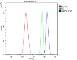Invitrogen Annexin A8 Polyclonal Antibody 100 &mu;g; Unconjugated:Antibodies,