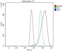 Invitrogen CD105 Polyclonal Antibody 100 &mu;g; Unconjugated:Antibodies,