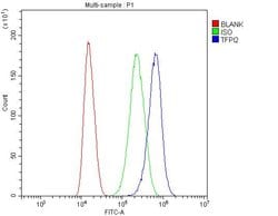 Invitrogen TFPI2 Polyclonal Antibody 100 &mu;g; Unconjugated:Antibodies,