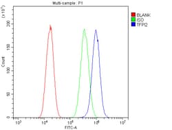 Invitrogen TFPI2 Polyclonal Antibody 100 &mu;g; Unconjugated:Antibodies,