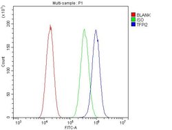 Invitrogen TFPI2 Polyclonal Antibody 100 &mu;g; Unconjugated:Antibodies,