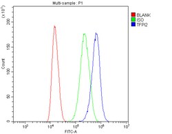 Invitrogen TFPI2 Polyclonal Antibody 100 &mu;g; Unconjugated:Antibodies,