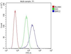 Invitrogen cIAP1 Polyclonal Antibody 100 &mu;g; Unconjugated:Anticuerpos