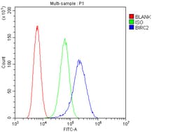 Invitrogen cIAP1 Polyclonal Antibody 100 &mu;g; Unconjugated:Anticuerpos