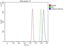 Invitrogen S100A10 Polyclonal Antibody 100 &mu;g; Unconjugated:Antibodies,