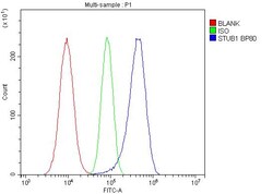 Invitrogen STUB1 Polyclonal Antibody 100 &mu;g; Unconjugated:Antibodies,