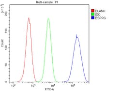Invitrogen ESRRG Polyclonal Antibody 100 &mu;g; Unconjugated:Antibodies,