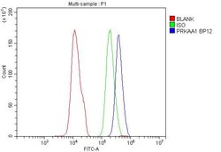 Invitrogen AMPK alpha-1 Polyclonal Antibody 100 &mu;g; Unconjugated:Antibodies,
