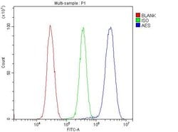Invitrogen AES Polyclonal Antibody 100 &mu;g; Unconjugated:Antibodies,