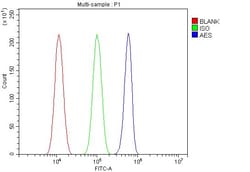 Invitrogen AES Polyclonal Antibody 100 &mu;g; Unconjugated:Antibodies,