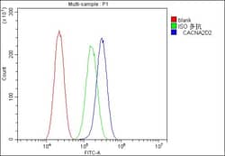 Invitrogen CACNA2D2 Polyclonal Antibody 100 &mu;g | Buy Online | Invitrogen&trade; | Fisher Scientific