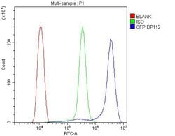 Invitrogen Properdin Polyclonal Antibody 100 &mu;g; Unconjugated:Antibodies,