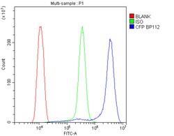 Invitrogen Properdin Polyclonal Antibody 100 &mu;g; Unconjugated:Antibodies,